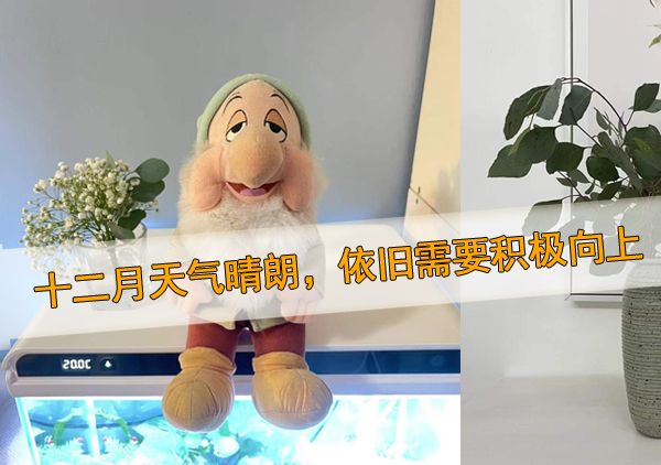 關于2021最后一個月的朋友圈說說心情短語 隨心