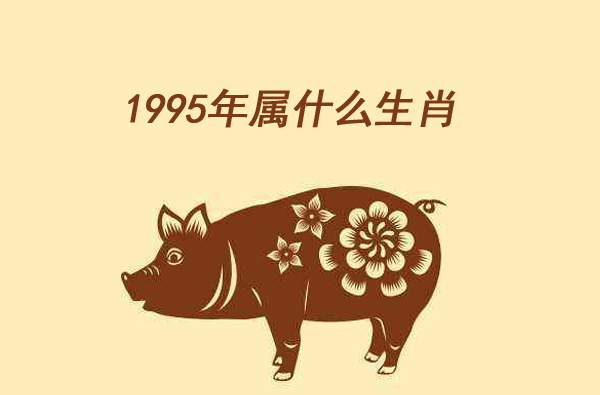 1995年屬什么生肖，和什么屬相最配
